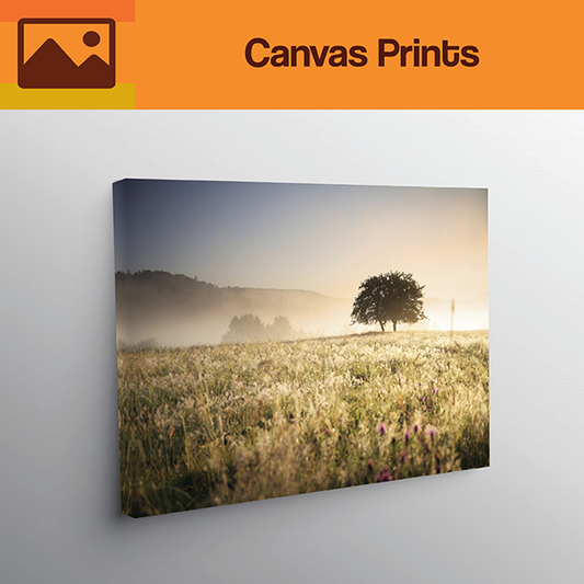 Premium NZ-Made Canvas Printing